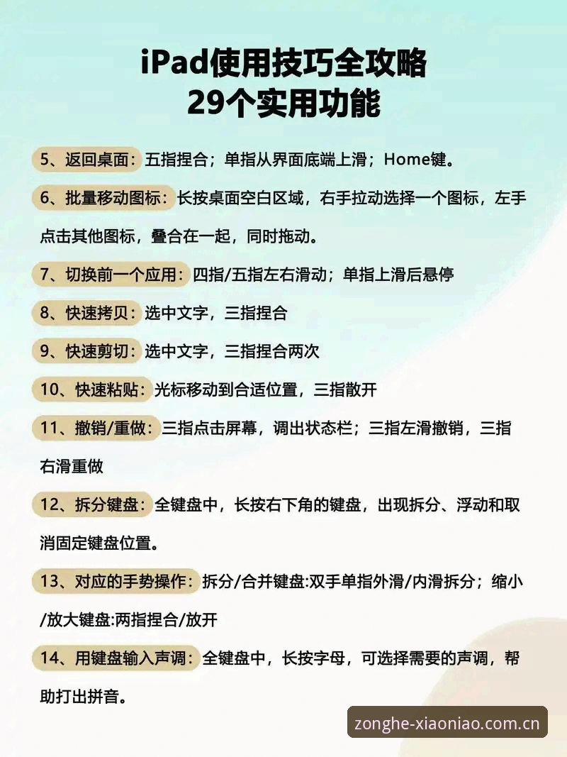 小鸟体育平台怎么样 小鸟体育平台使用指南:从新手到高手的完整教程