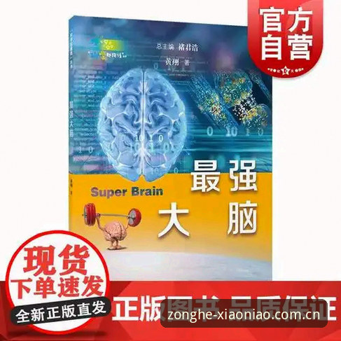 小鸟体育官方手机版 深度揭秘:小鸟体育官方手机版背后的技术架构与体验真相